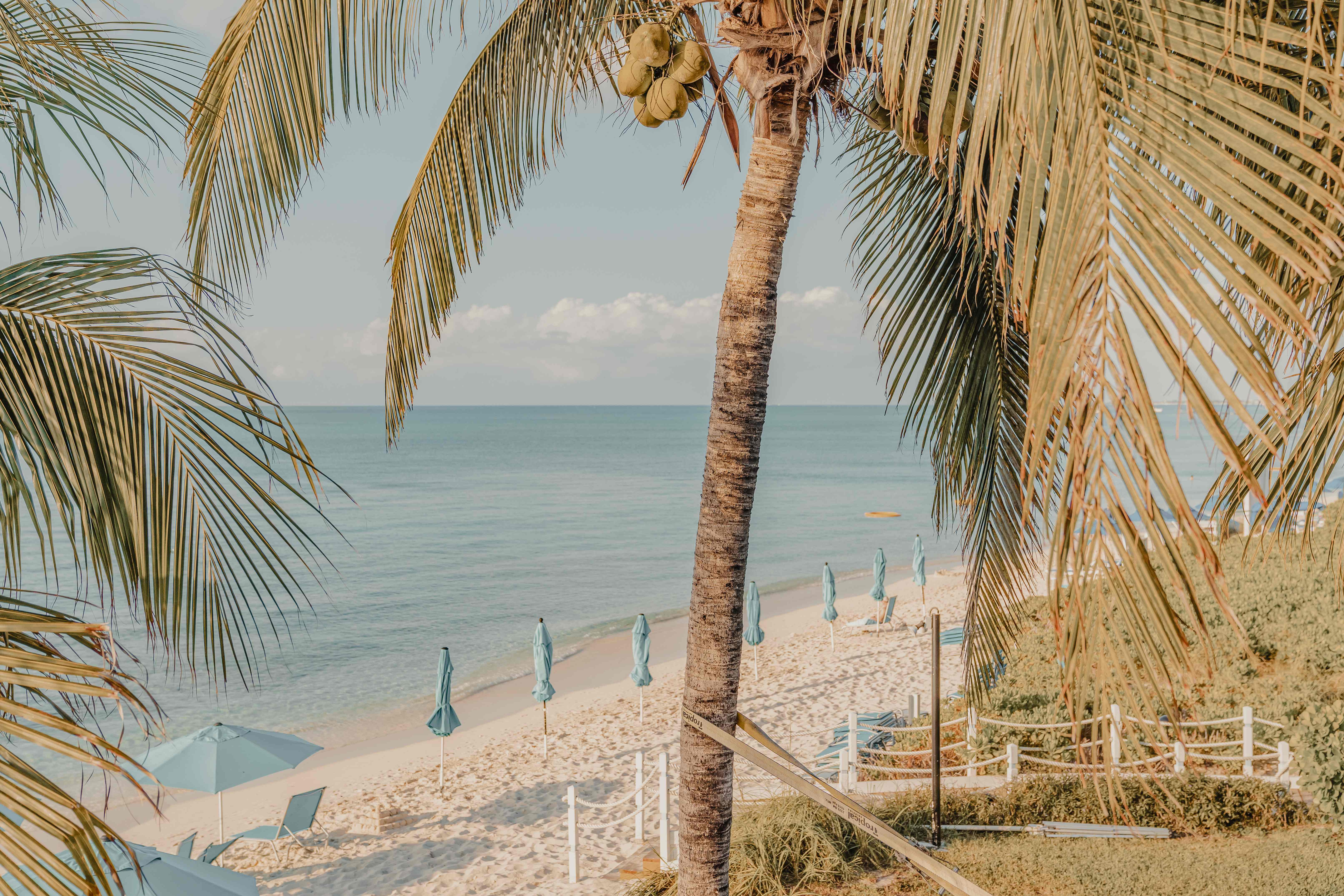 An Extended Journey through Caribbean Treasures & Peaceful Nature