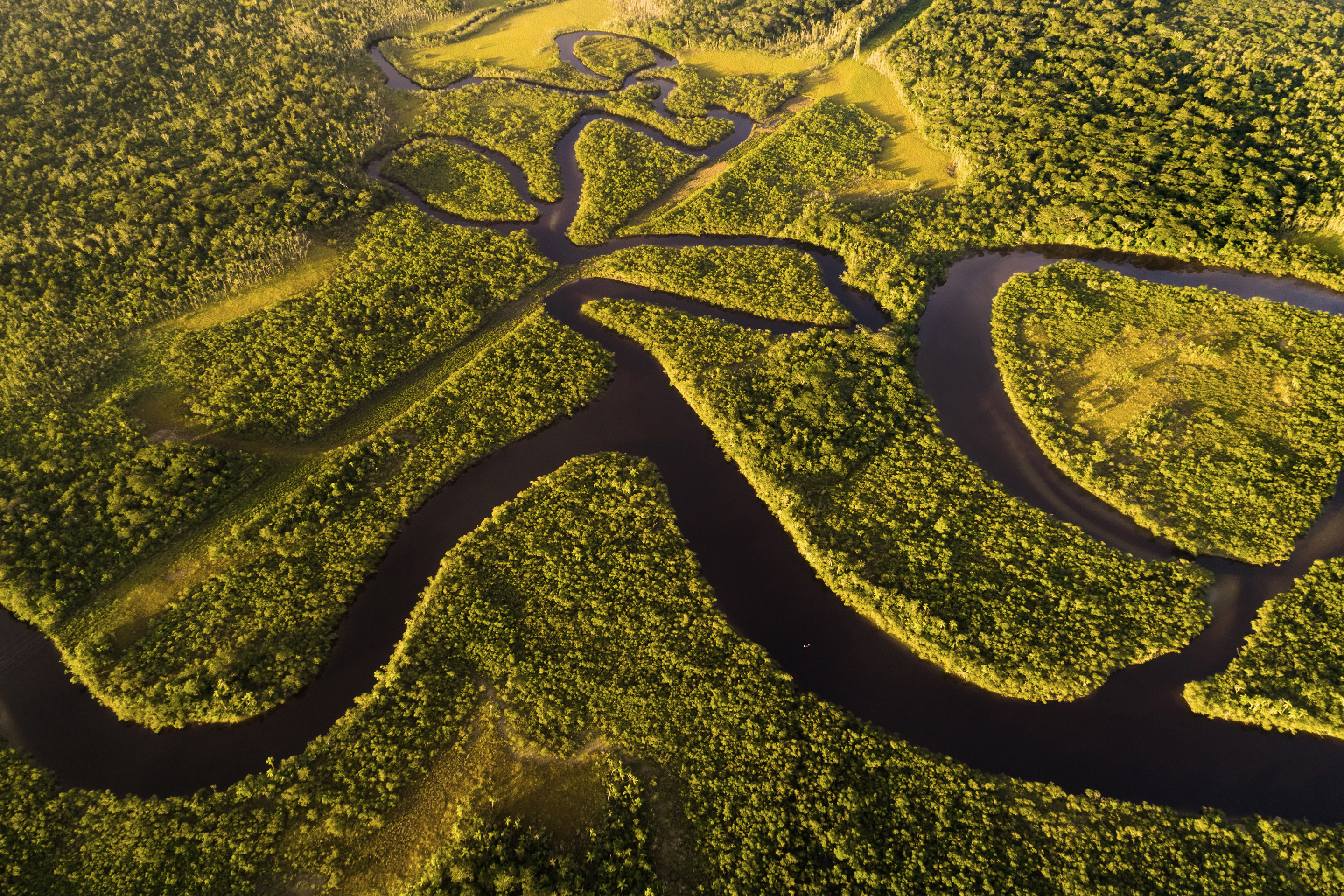 Amazon Rainforest, Brazil