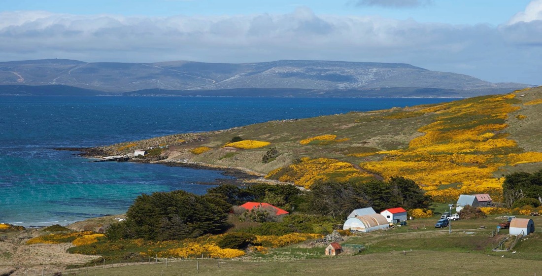 Antarctic & Falklands Adventure