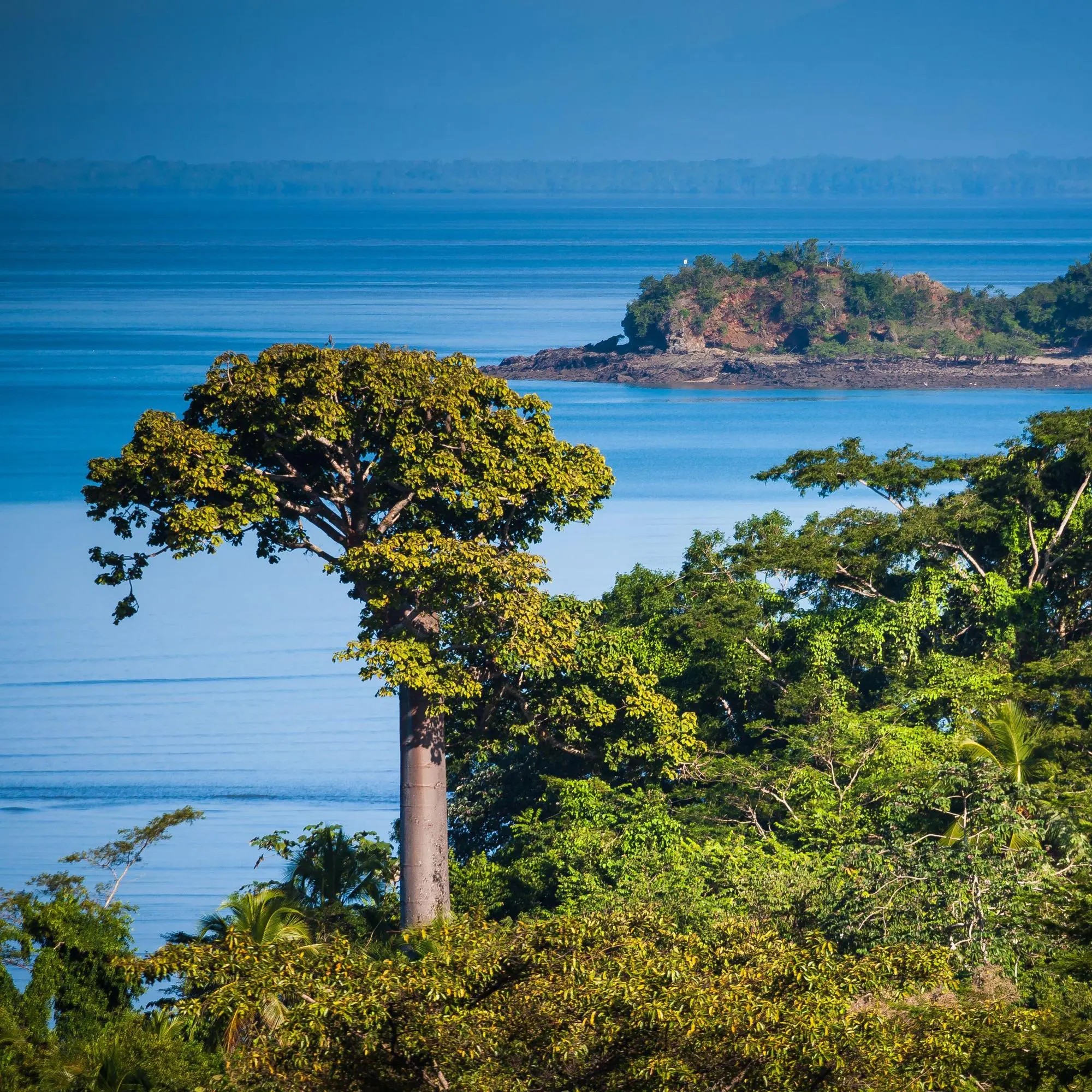 Panama and Costa Rica’s Pacific Coast: A Central America Odyssey