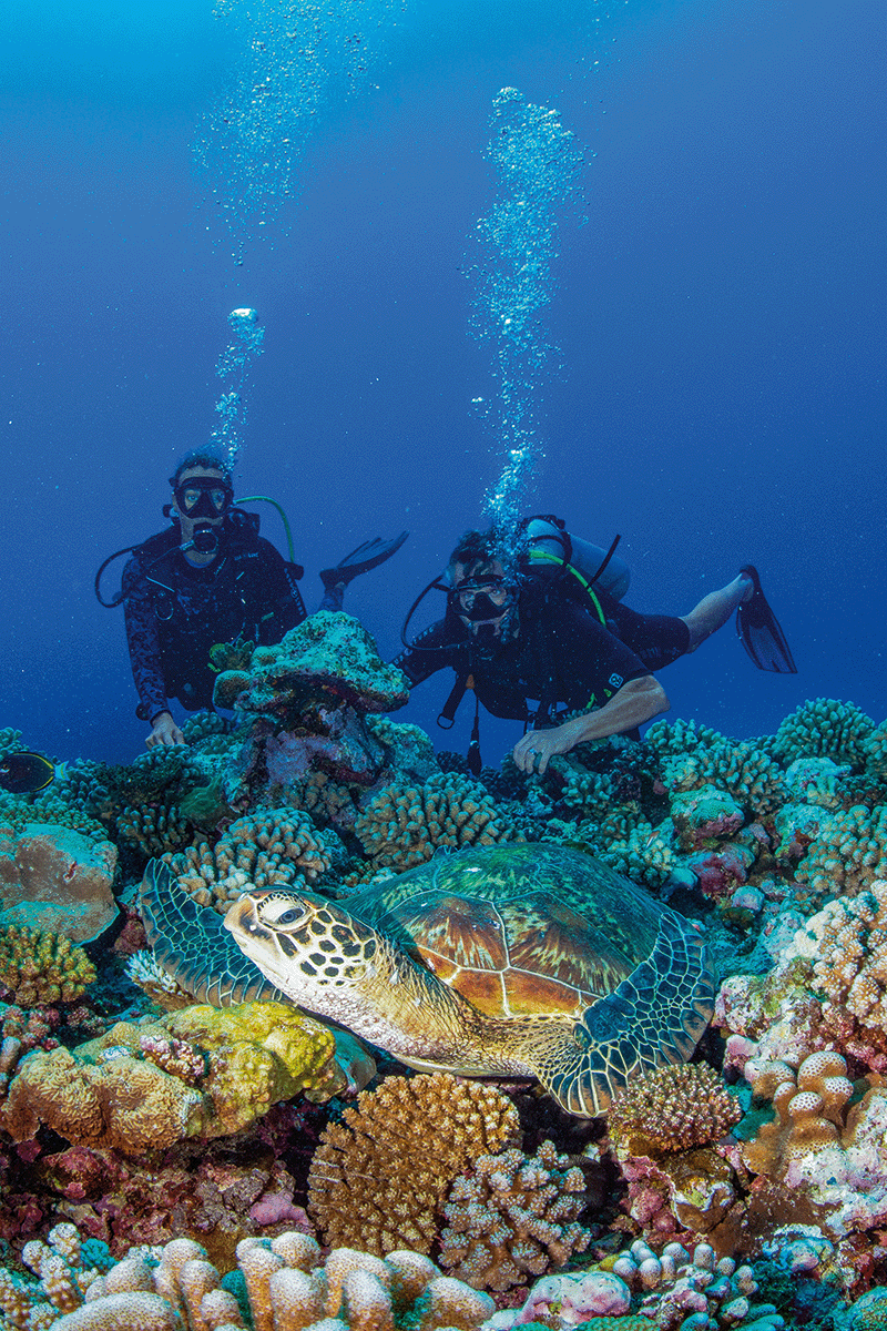 Tahiti & the Society Islands
