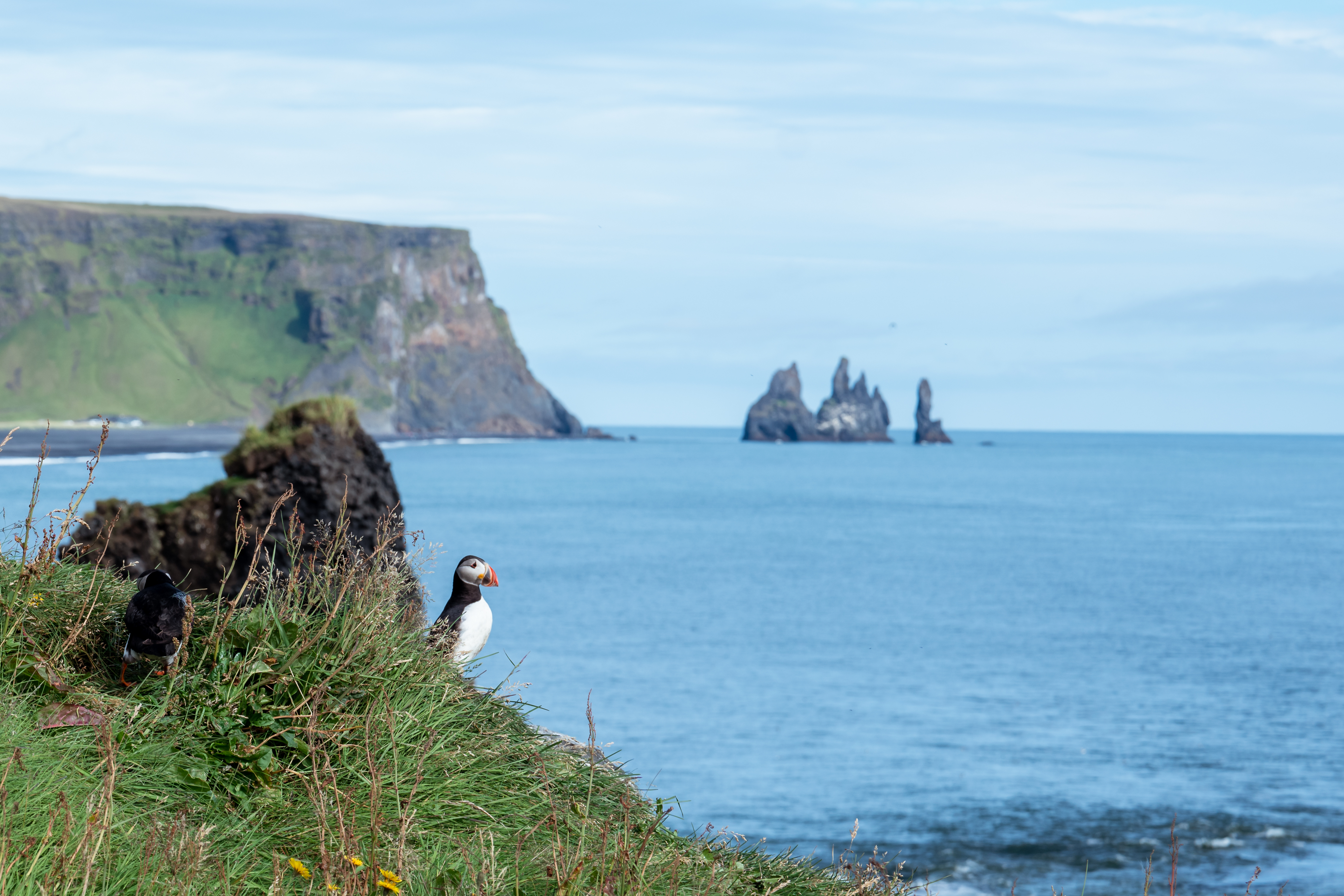 Iceland: Circumnavigating the Land of Fire & Ice