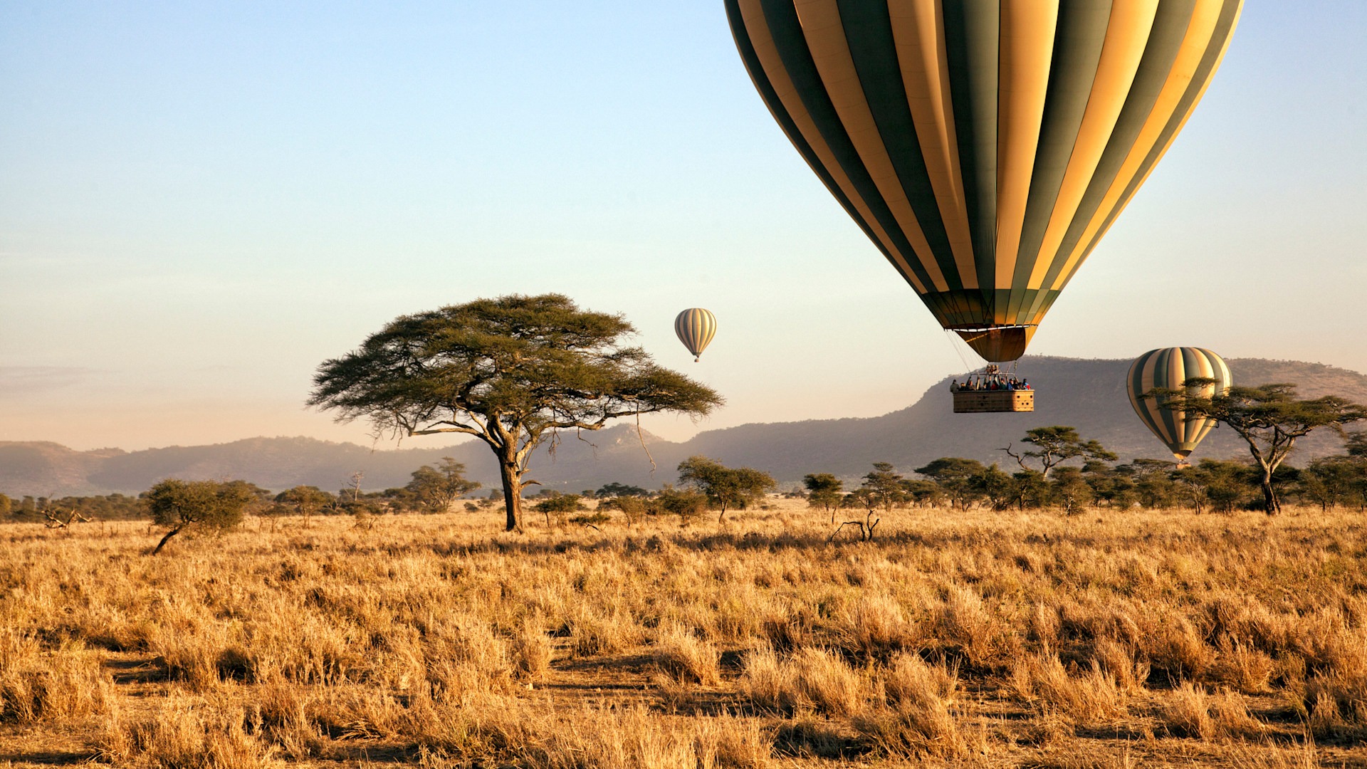 Treasures of Tanzania