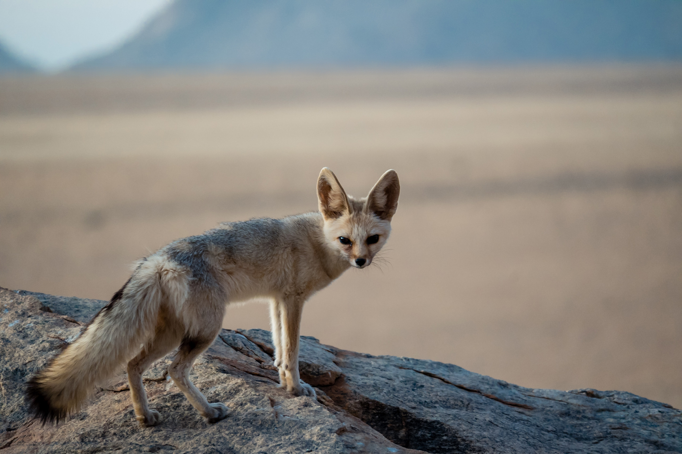 The World's Greatest Deserts