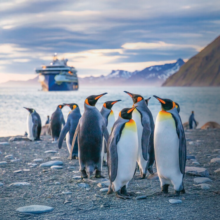 Antarctica