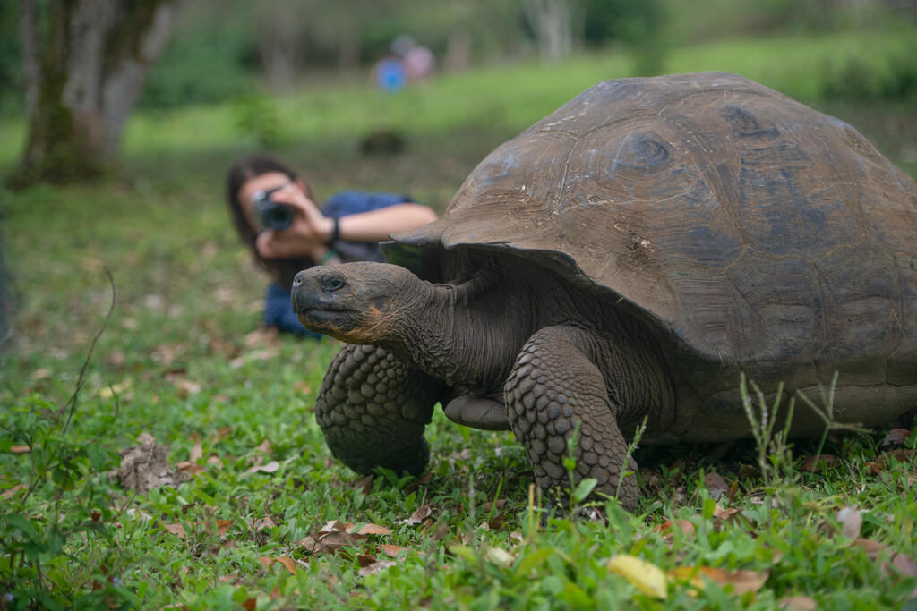 Galápagos Islands