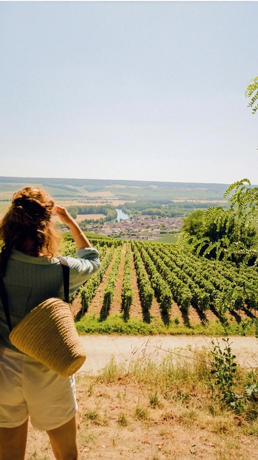 Colours of Provence Wine Cruise