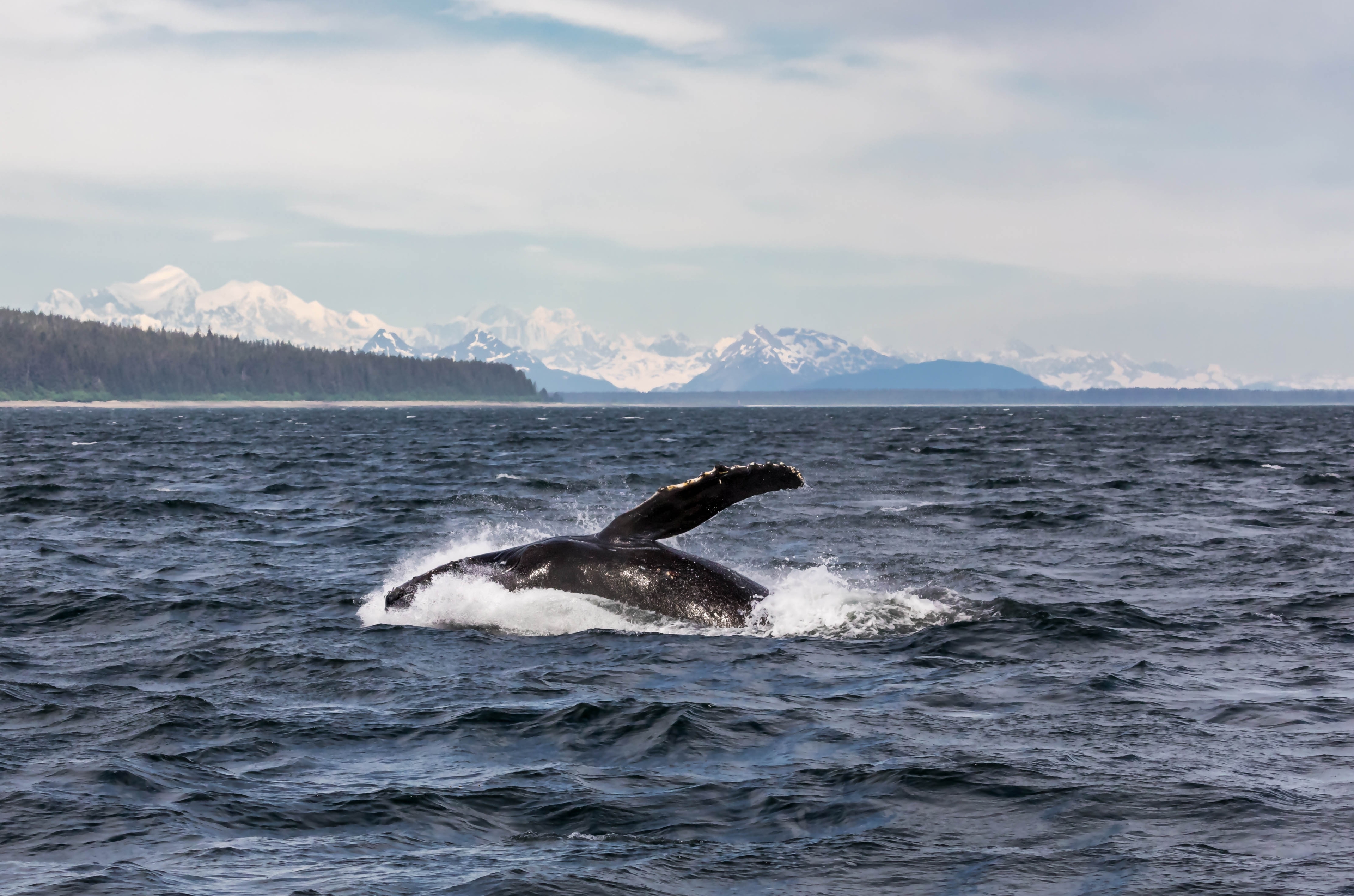 Vancouver → Seward (Anchorage)