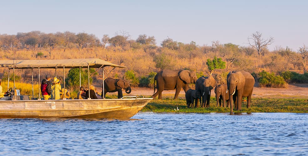 Botswana Safari — Okavango Delta & Chobe