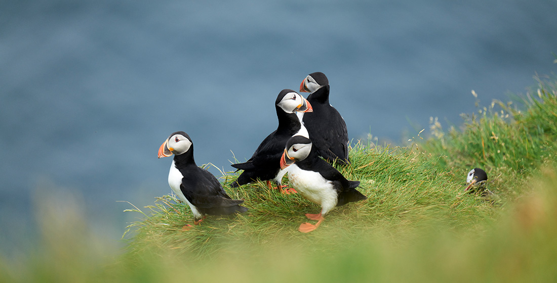 Svalbard & Norway Adventure