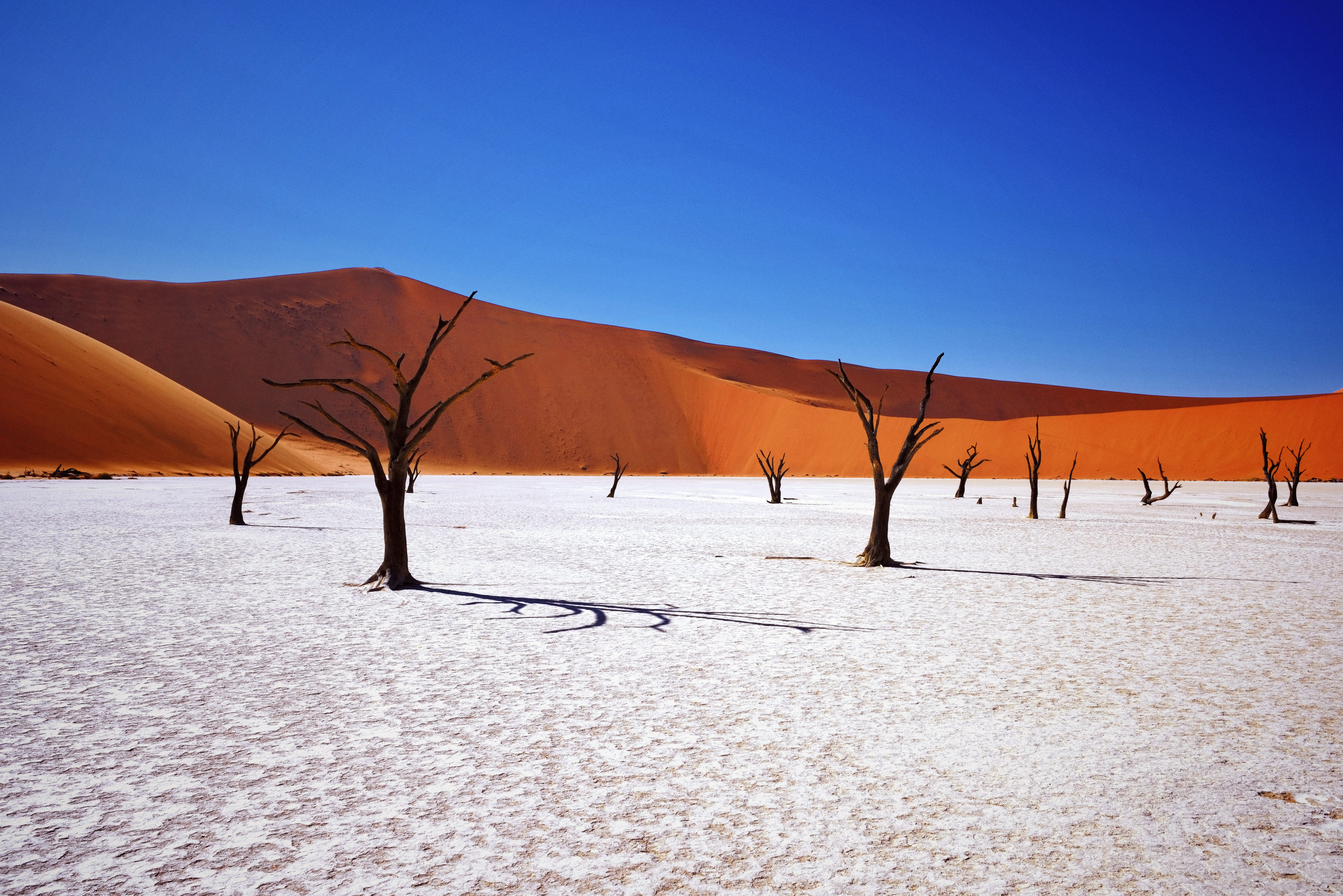 African Wonders & the Skeleton Coast