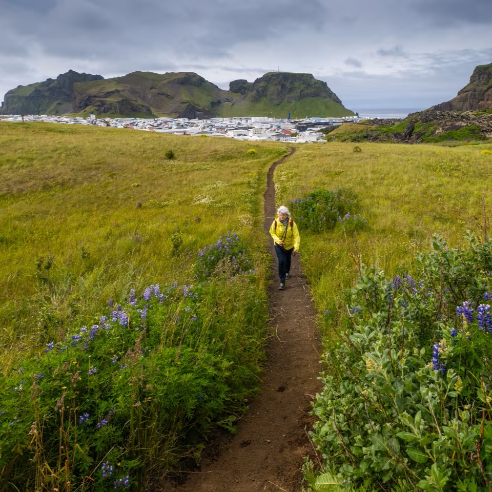 Wild Arctic Shores: Circumnavigating Iceland and Exploring Greenland