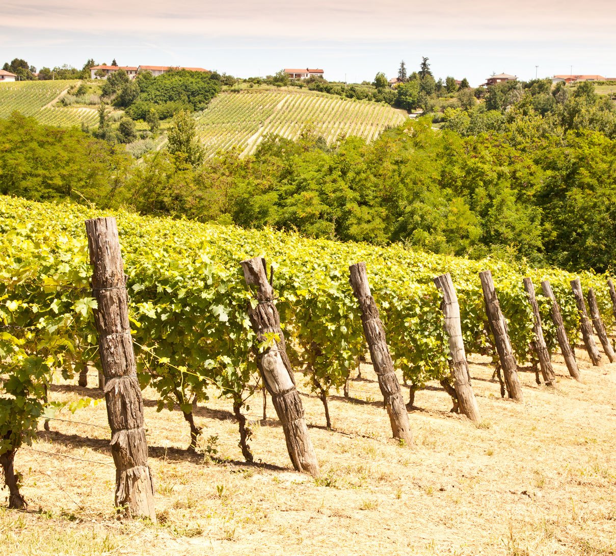 A Week In... Italy's Hidden Wine Country