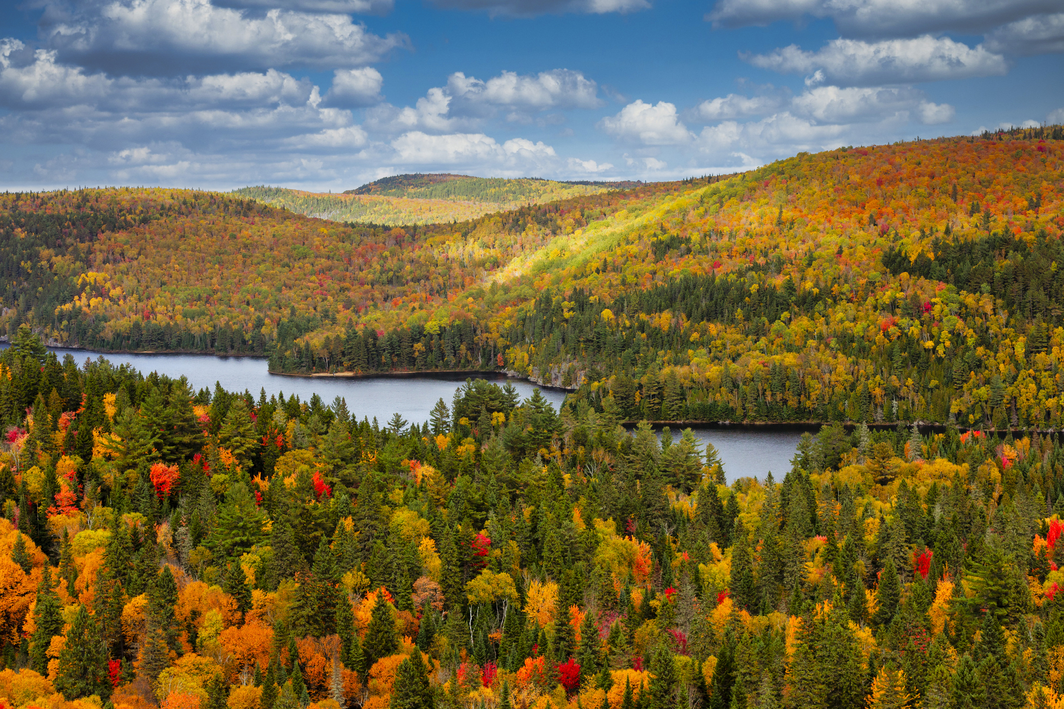 Fall foliage