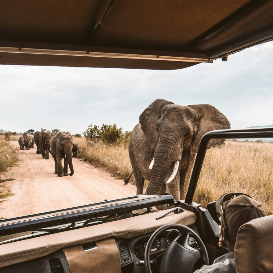 A world of ways to roam