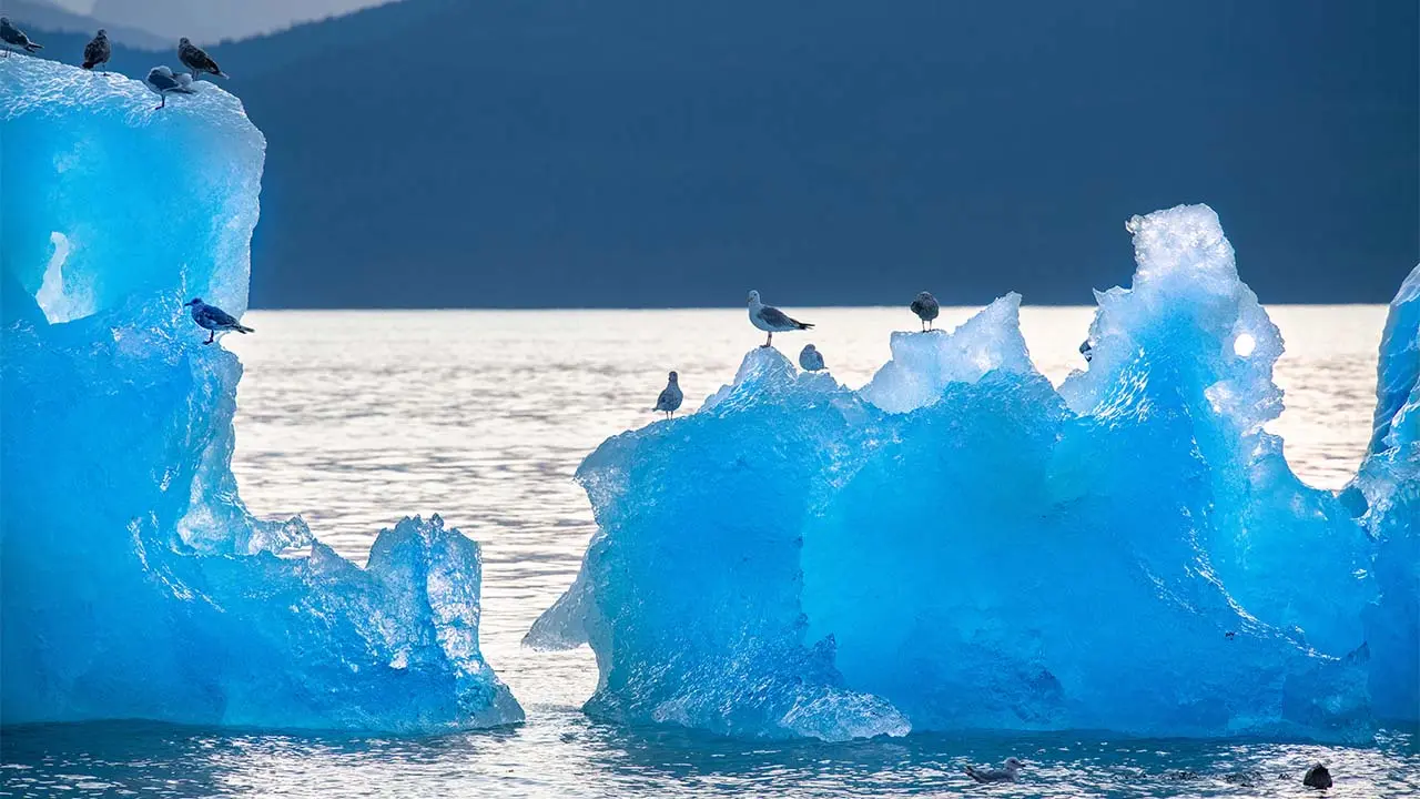 Reykjavik to Nuuk