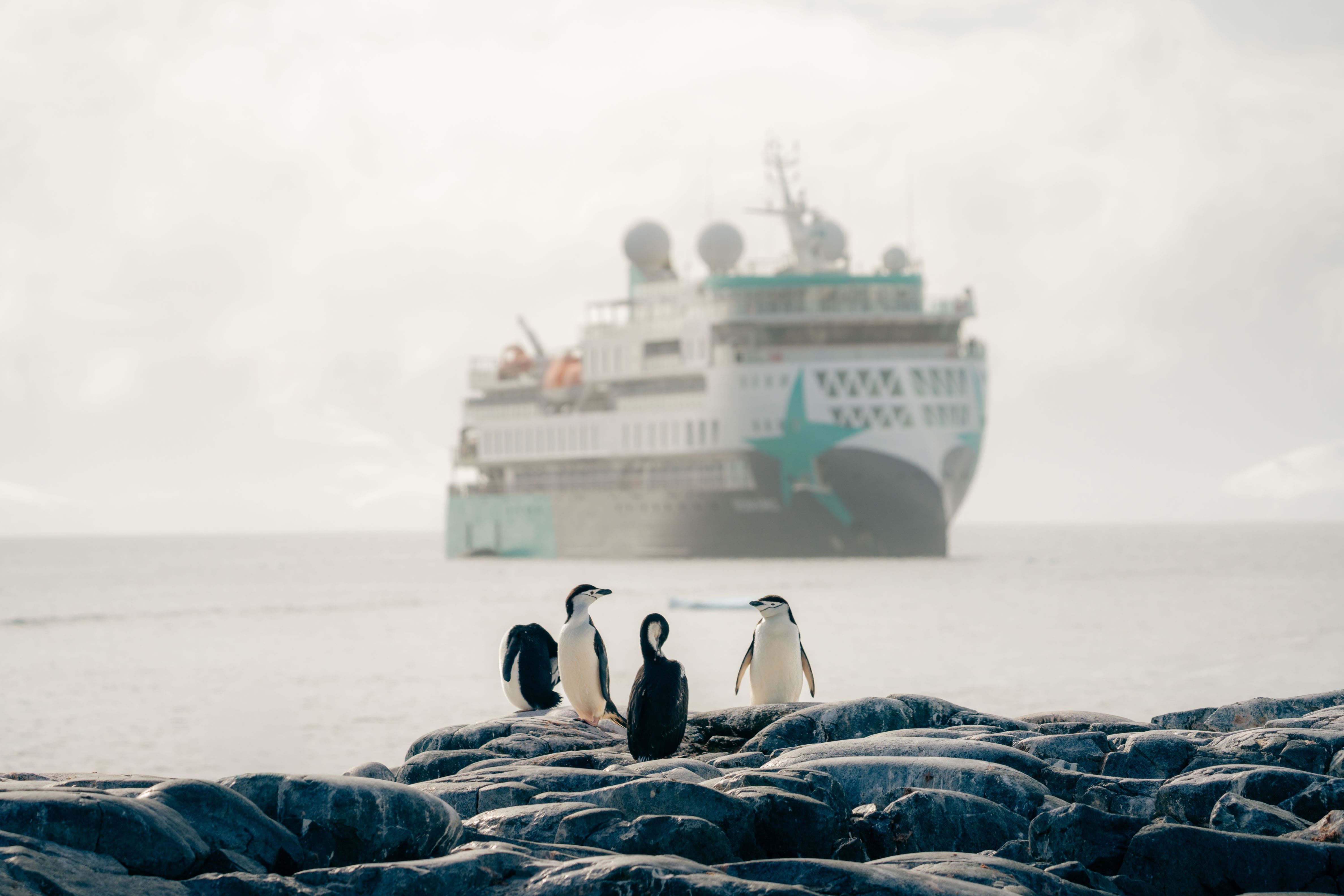 Antarctica