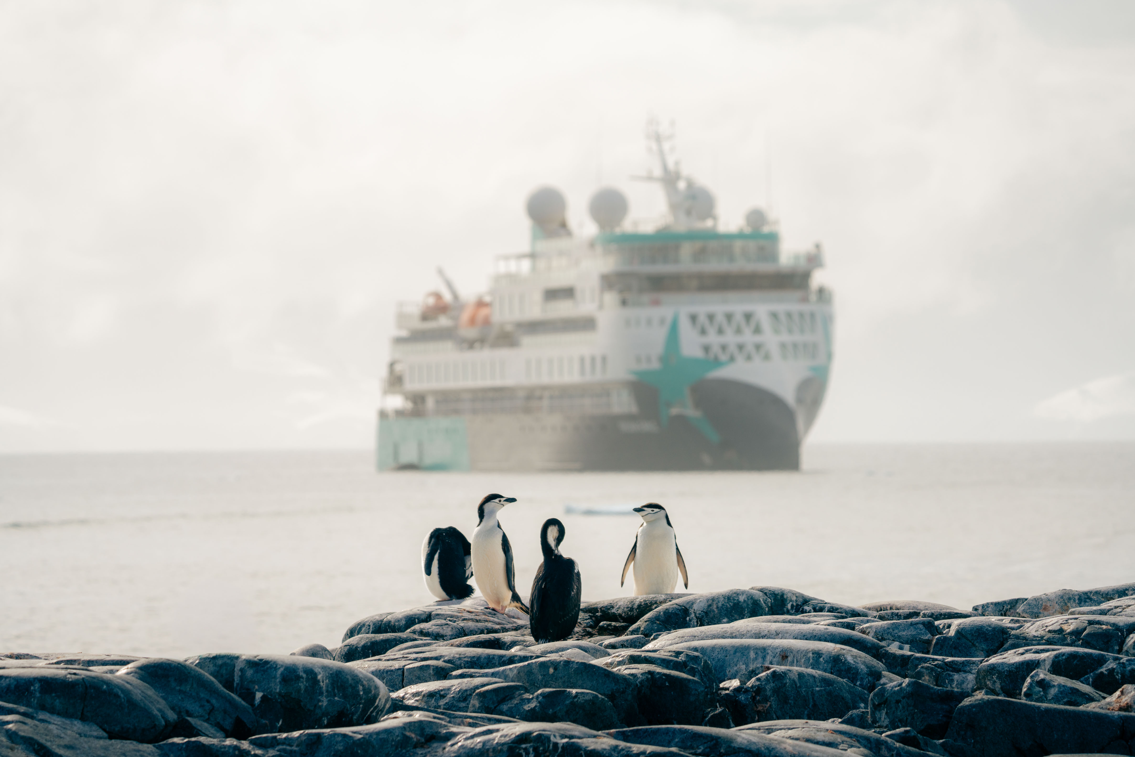 Antarctica