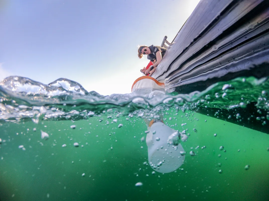 Citizen Science Projects