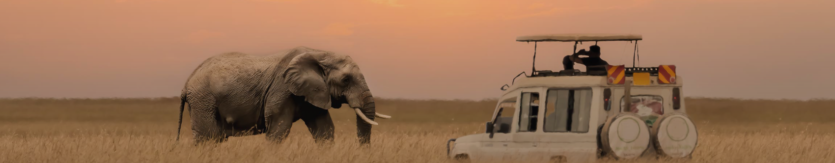 Atlas Adventurer™ • 2029 Africa Season
Africa Land Experiences
Safaris & Cape Winelands