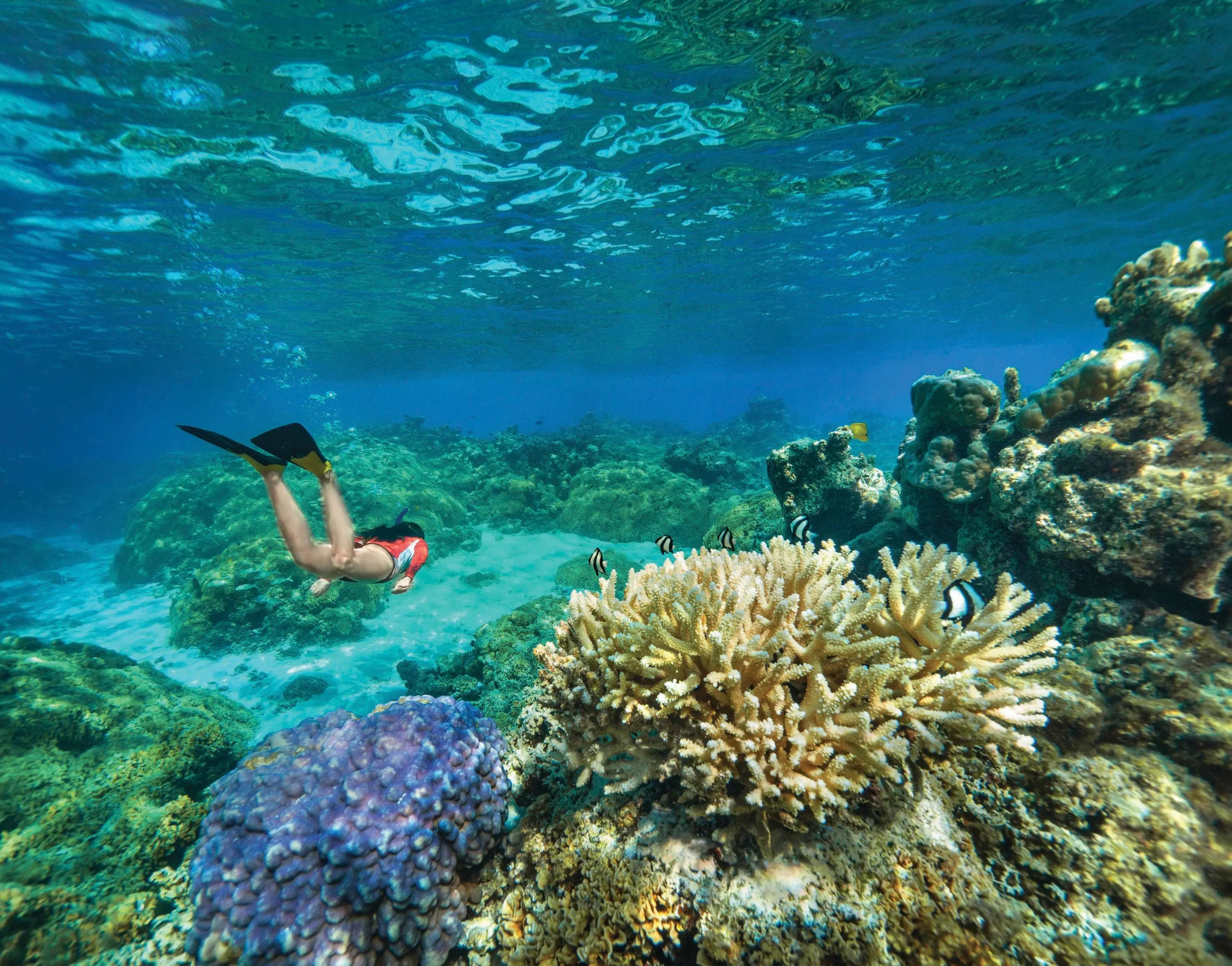 Fiji and Tahiti: Vibrant Reefs and Cultural History