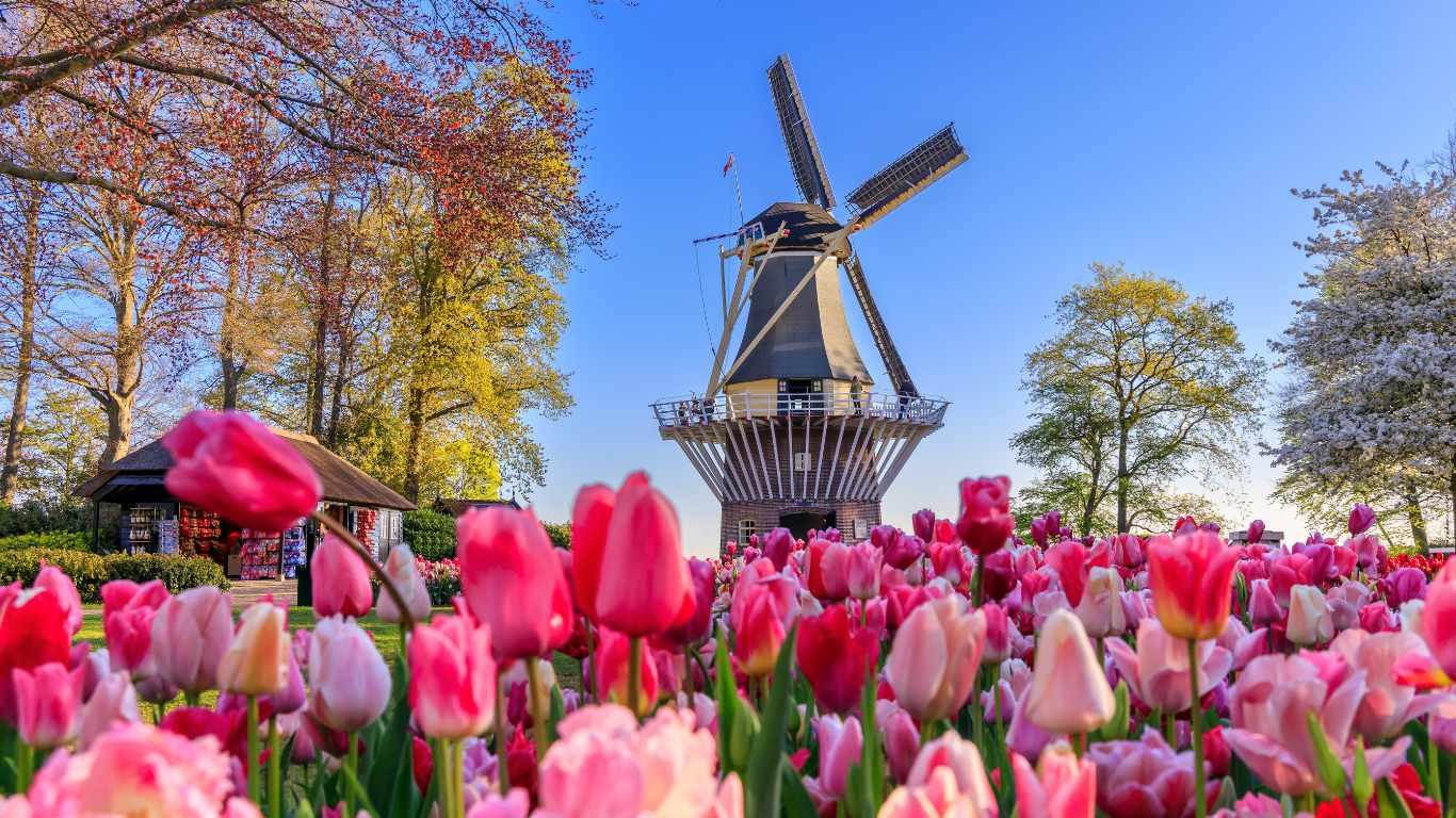 Riverside Debussy: Undiscovered Gems of Belgium & the Netherlands