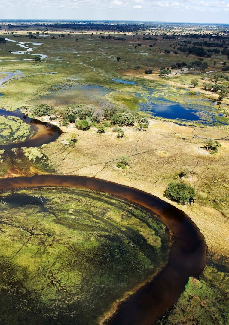 Fly Me around the Okavango Delta