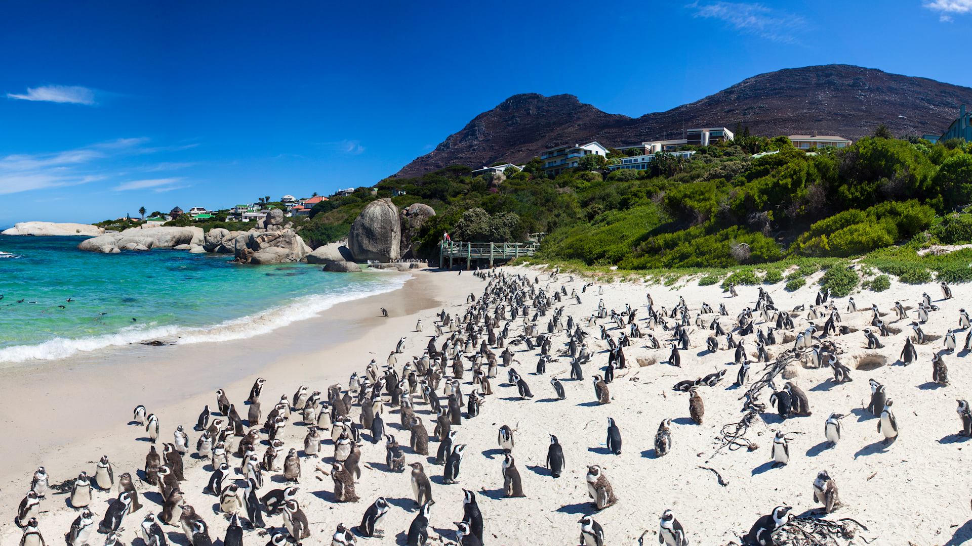 South Africa for the Whole Family