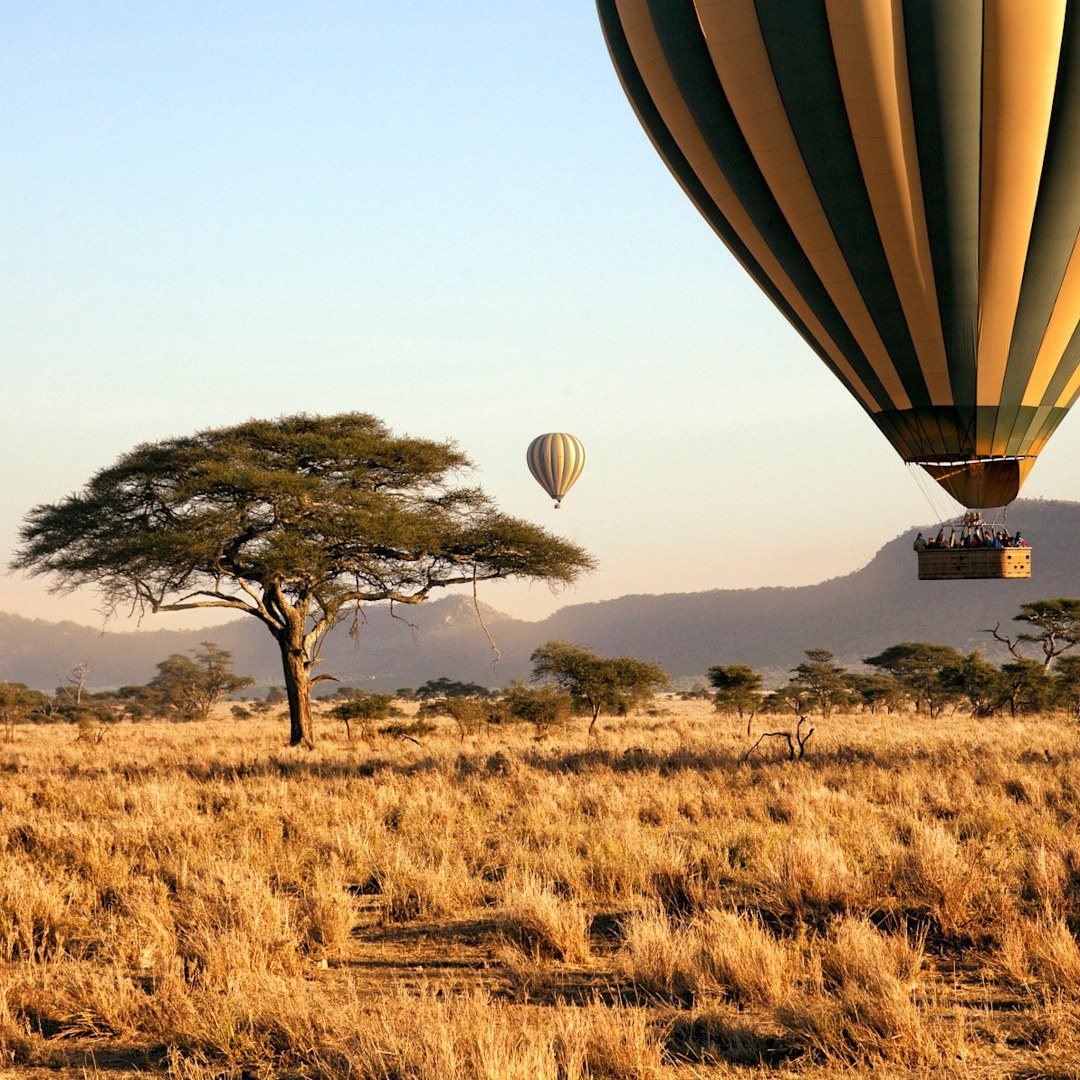 Treasures of Tanzania