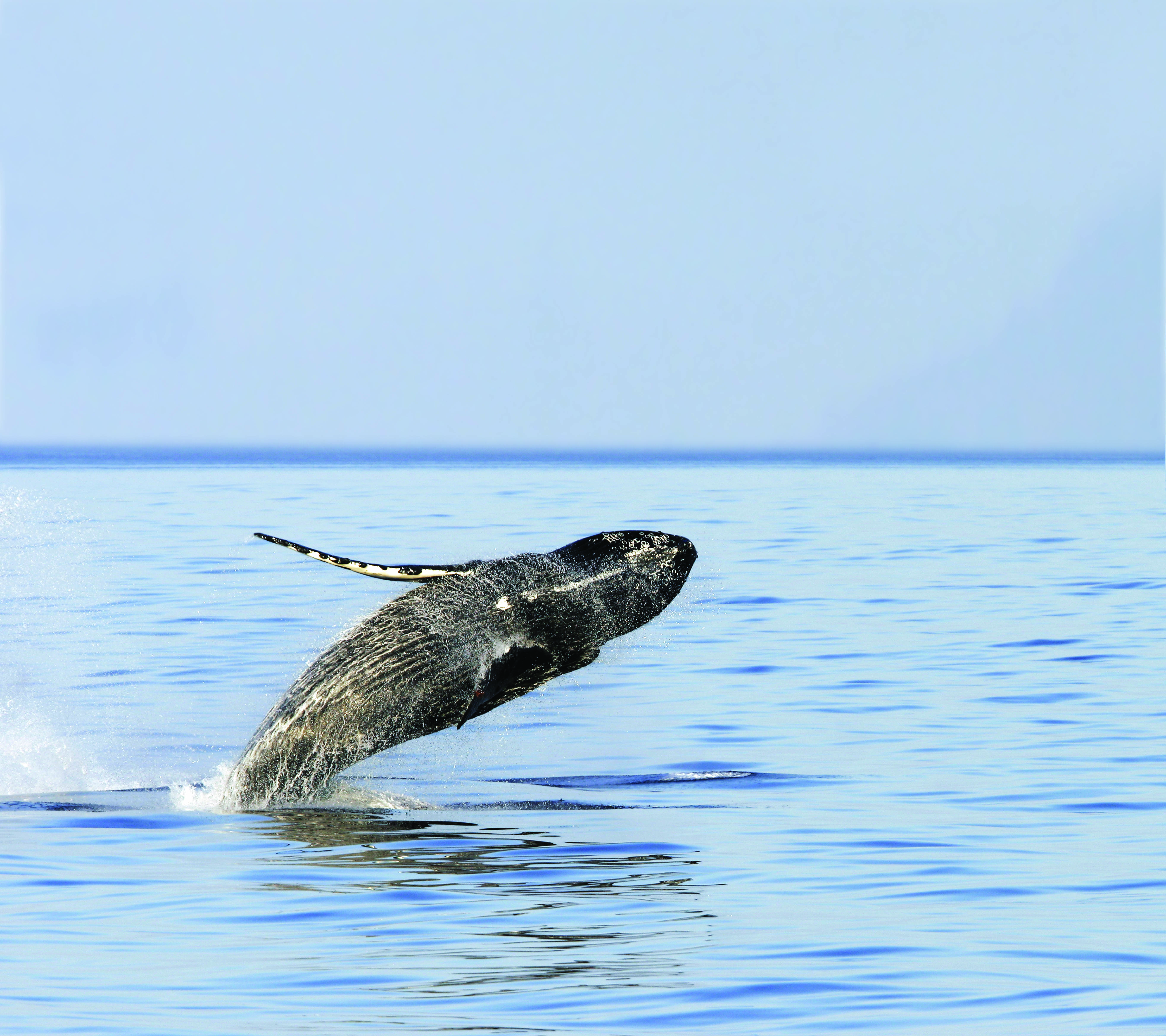 Alaska’s Inside Passage