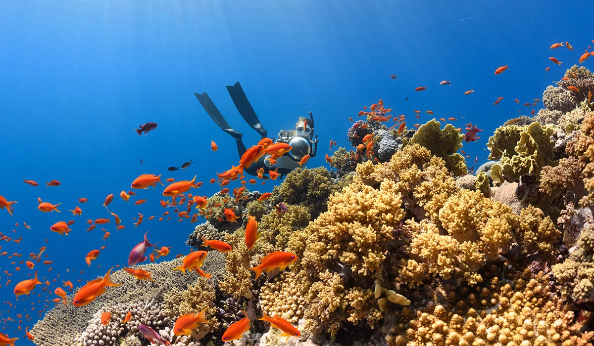 Great Barrier Reef aboard the Celebrity Edge