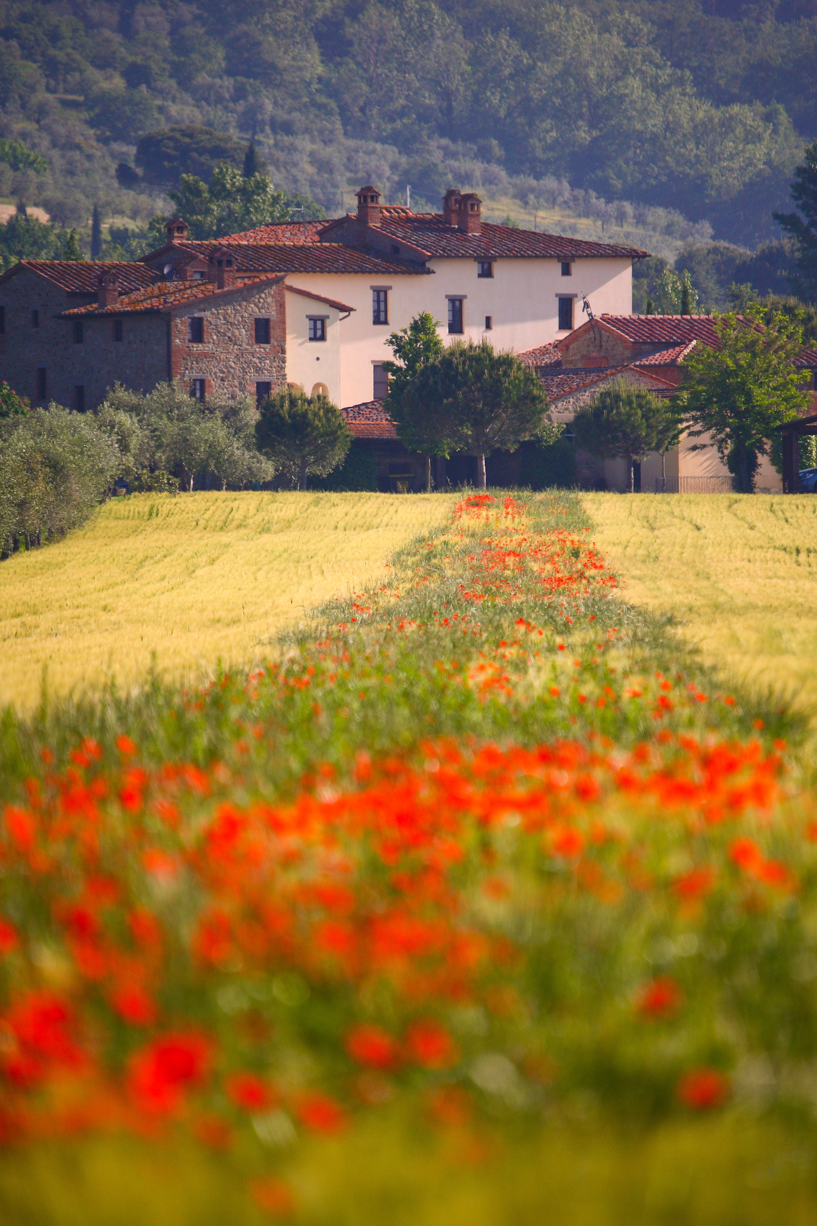 Rome, Assisi & Magical Umbria -Premium Adventure