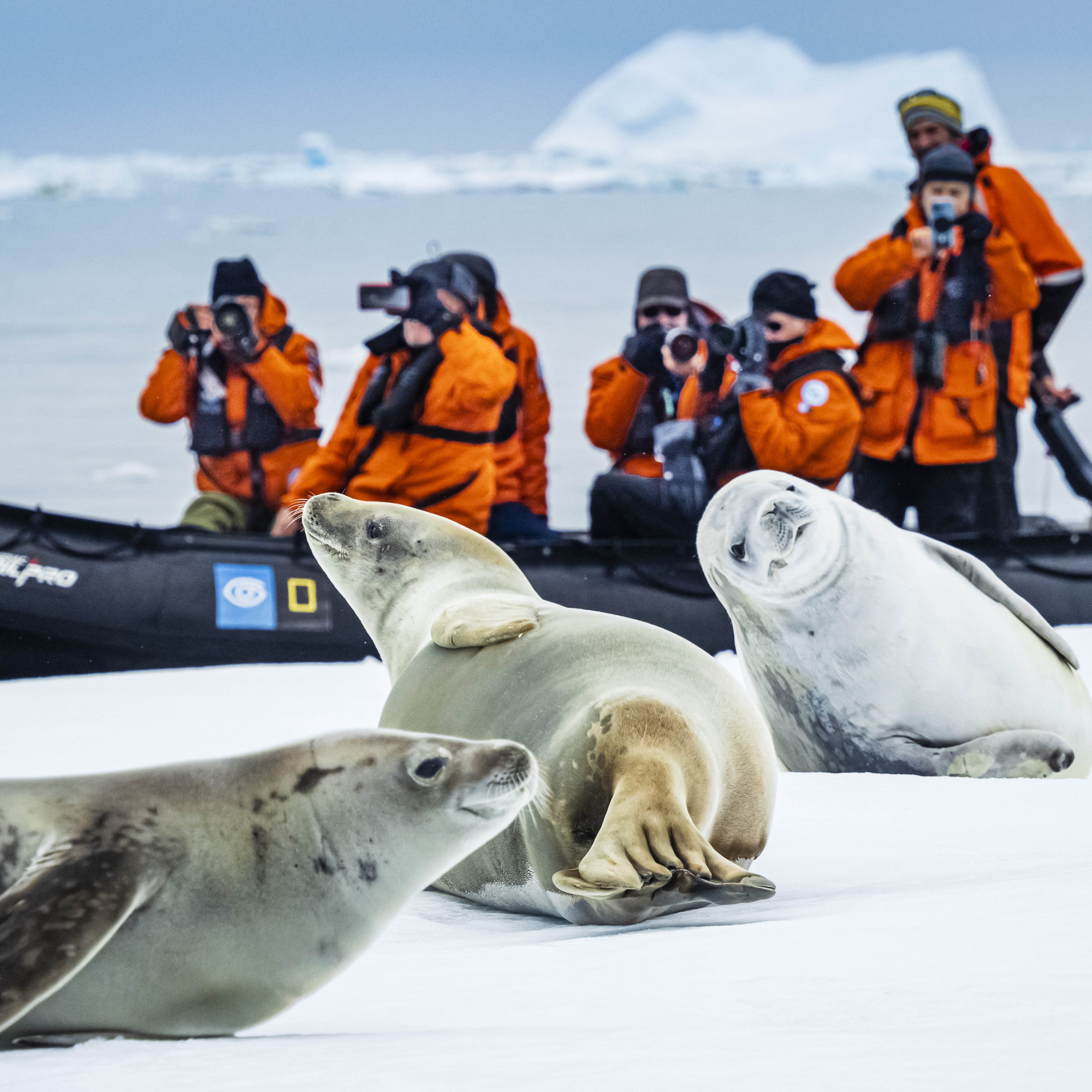 Sail & Fly the Drake Passage