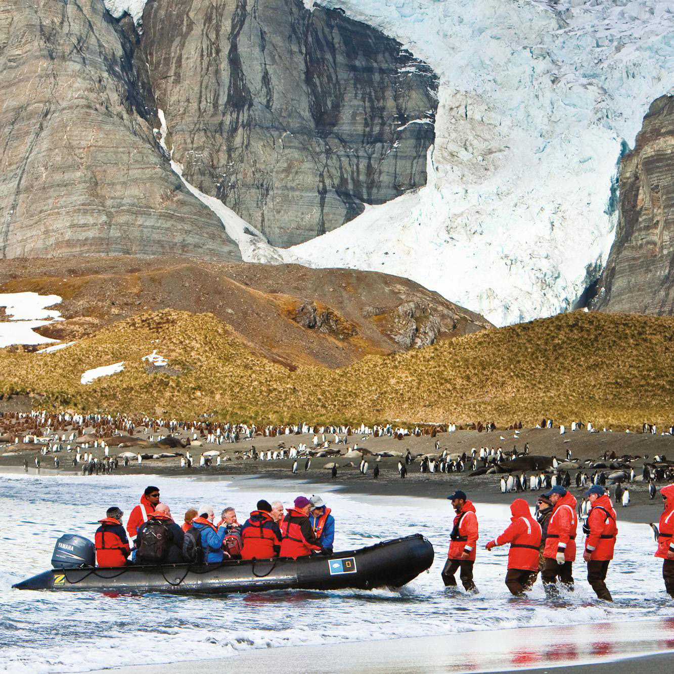 Antarctica Expeditions