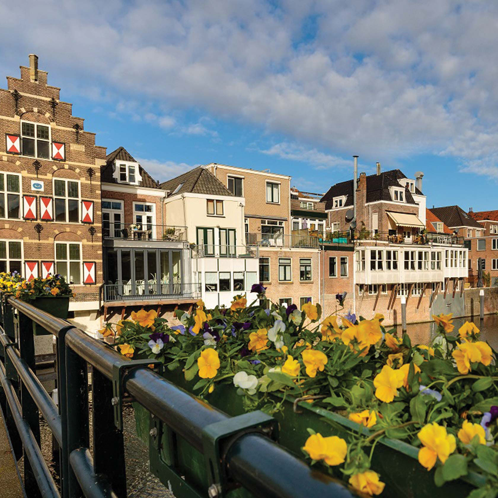 Cruise the Rhine with many active options