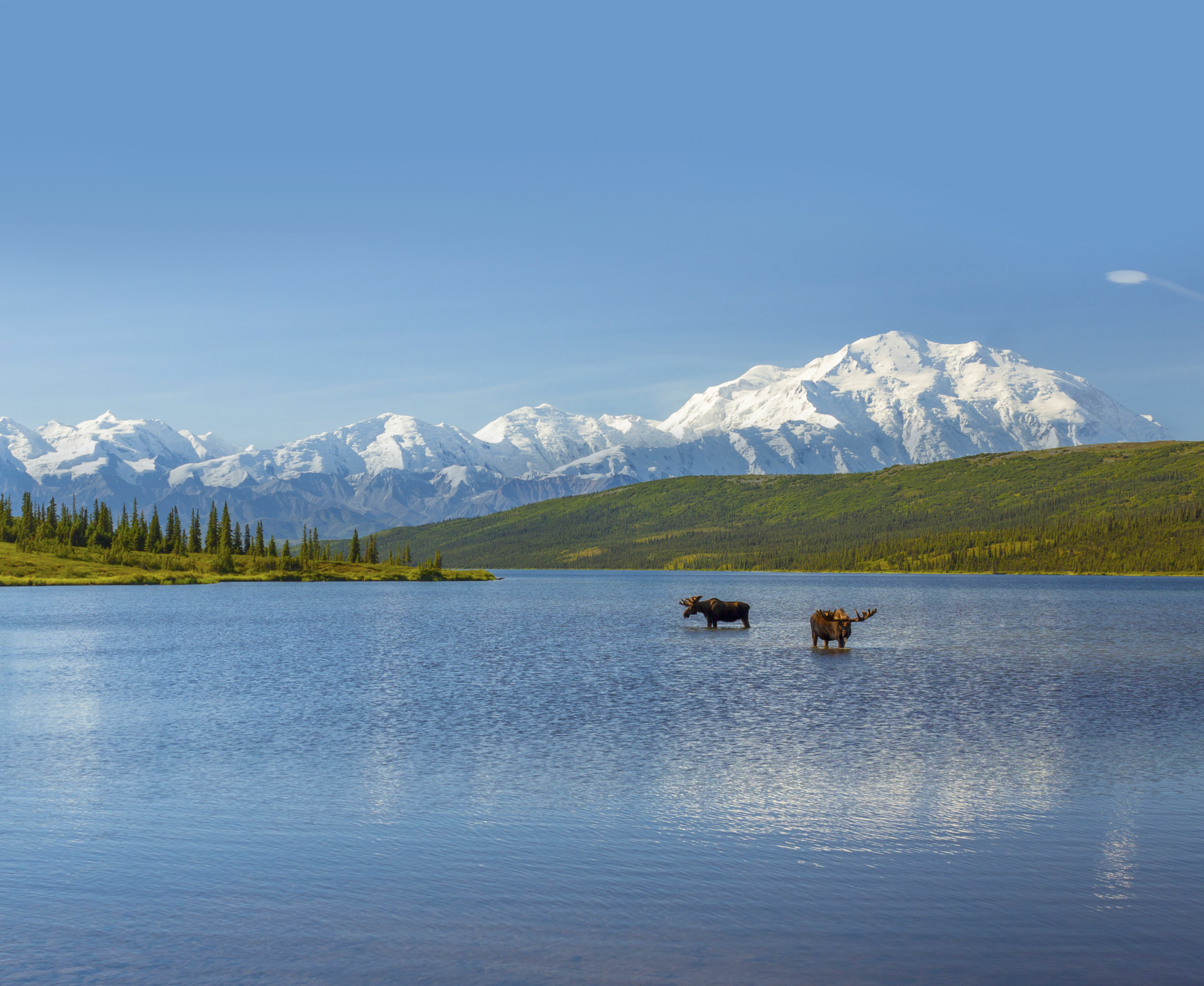 EXPLORE ALASKA BY LAND AND SEA
