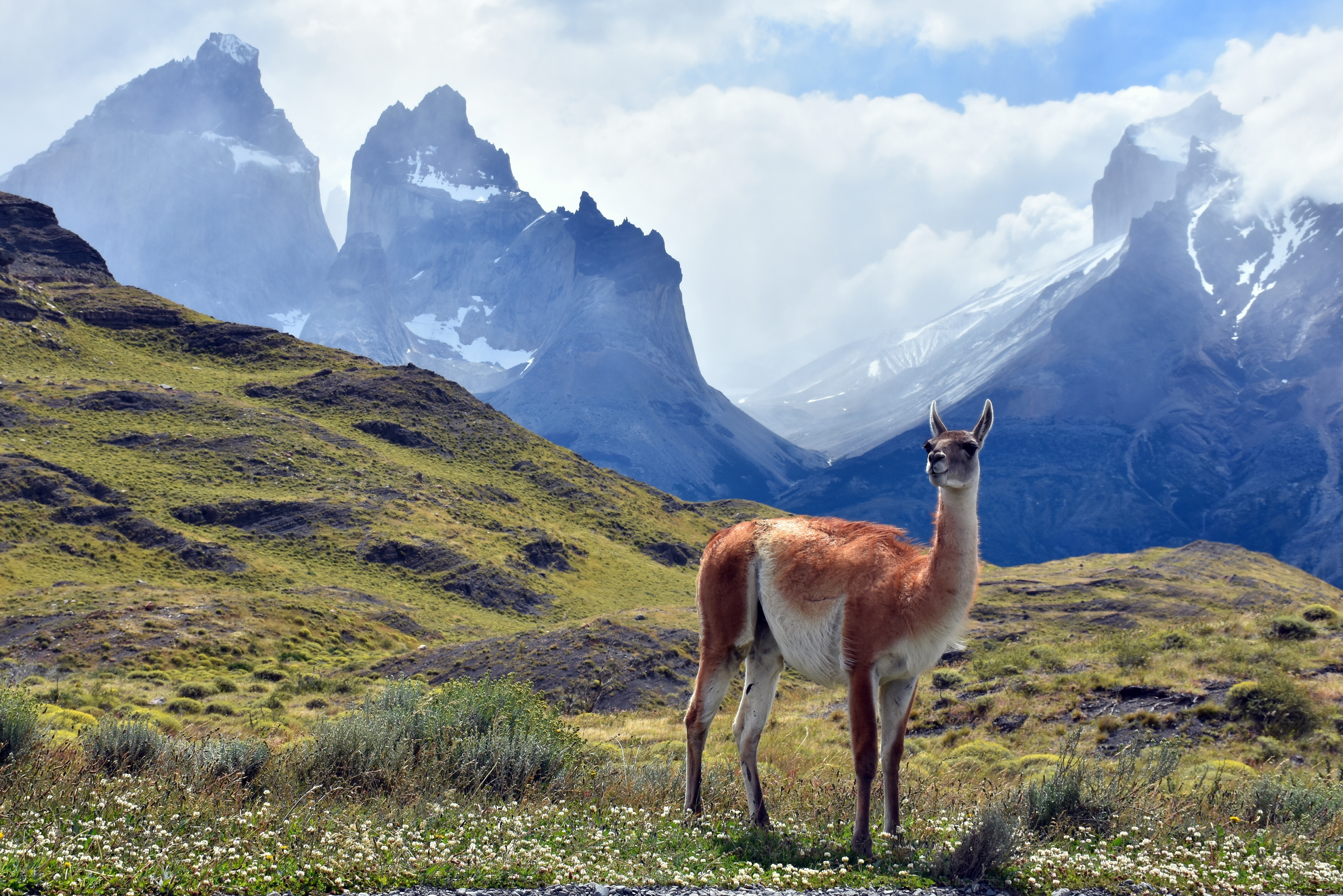 Untamed Patagonia