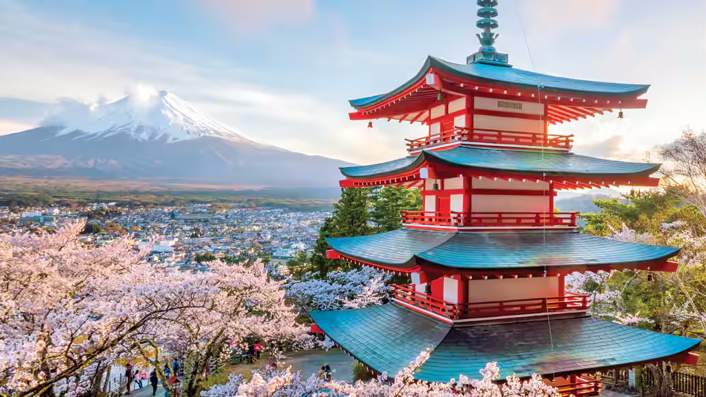 Curated Travel Experiences