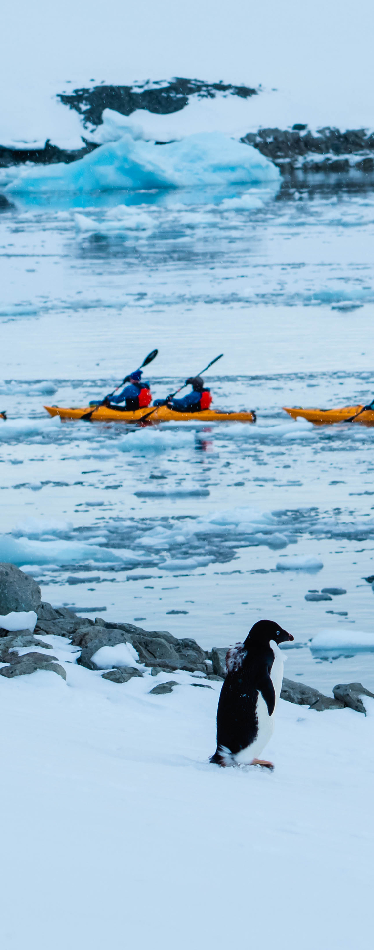 Antarctic Peninsula: Fly the Drake