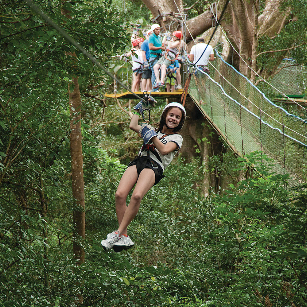 Costa Rica: Jungles & Rainforests