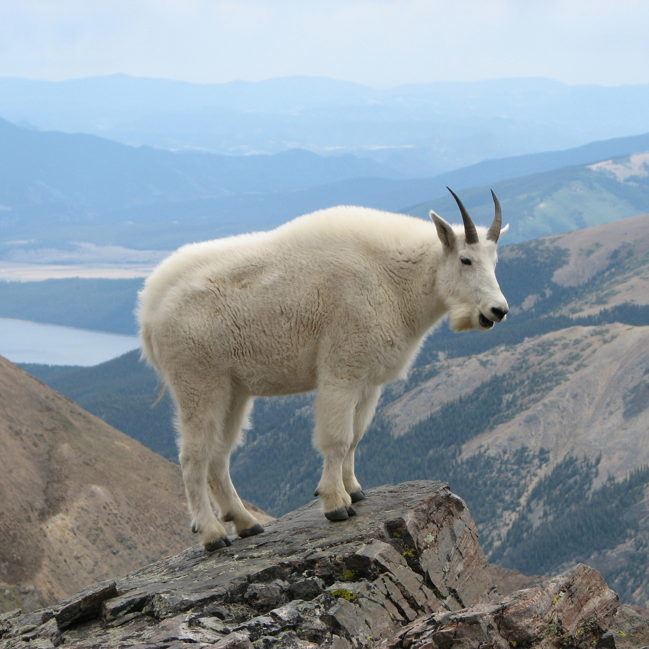 The Majestic Peaks of Banff and Jasper