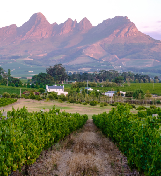 ONE-OF-A-KIND EXPERIENCES