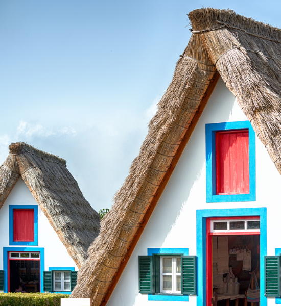 INTO THE LIVES AND HOMES OF LOCALS