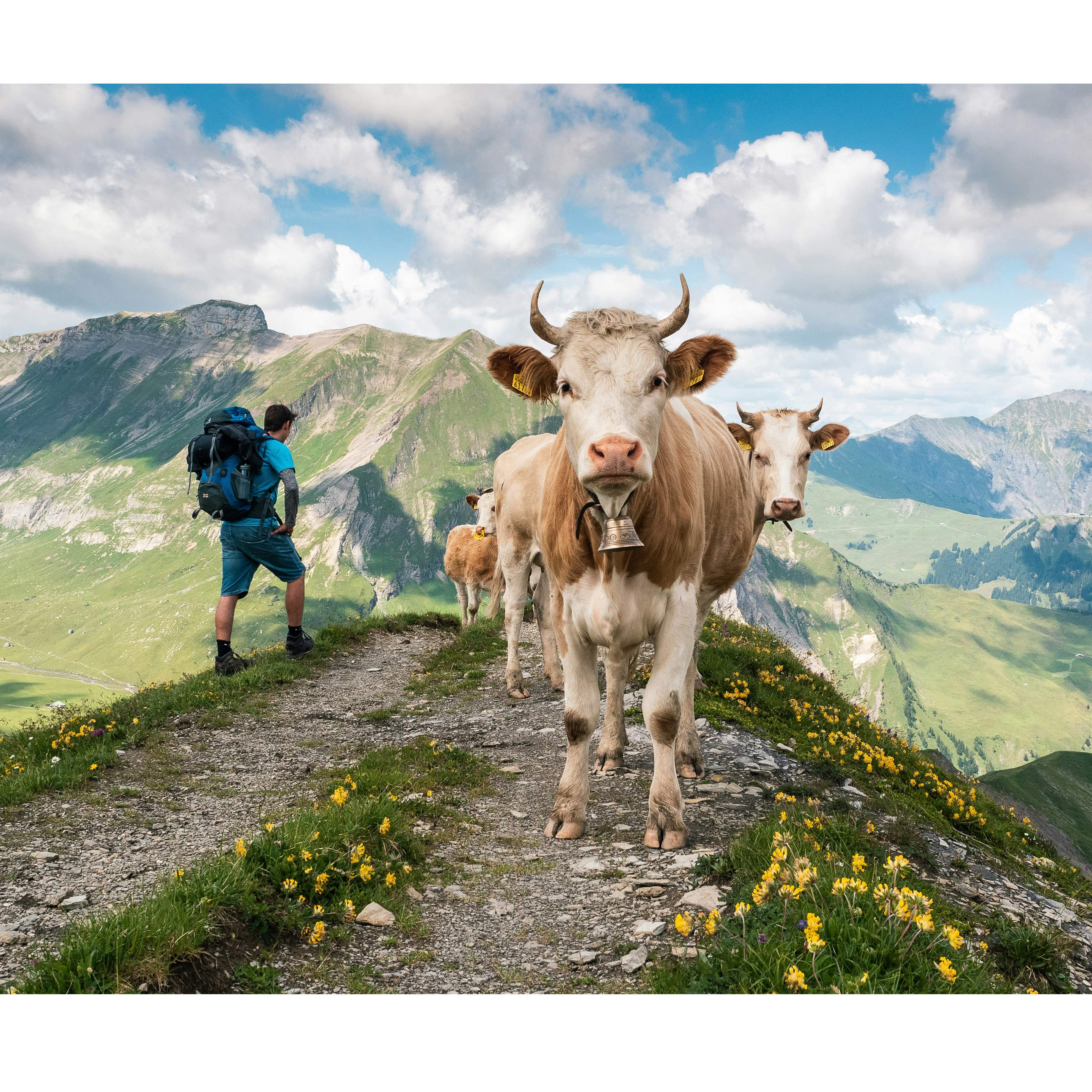 Once Upon a Time in Switzerland