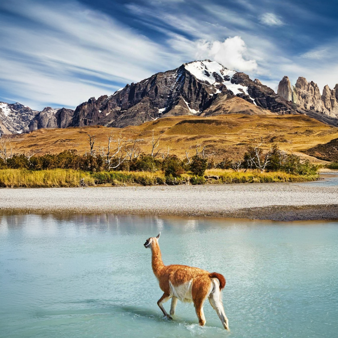 Latin America Brochure