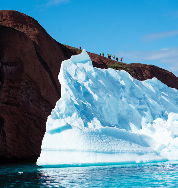 Jewels of the Arctic