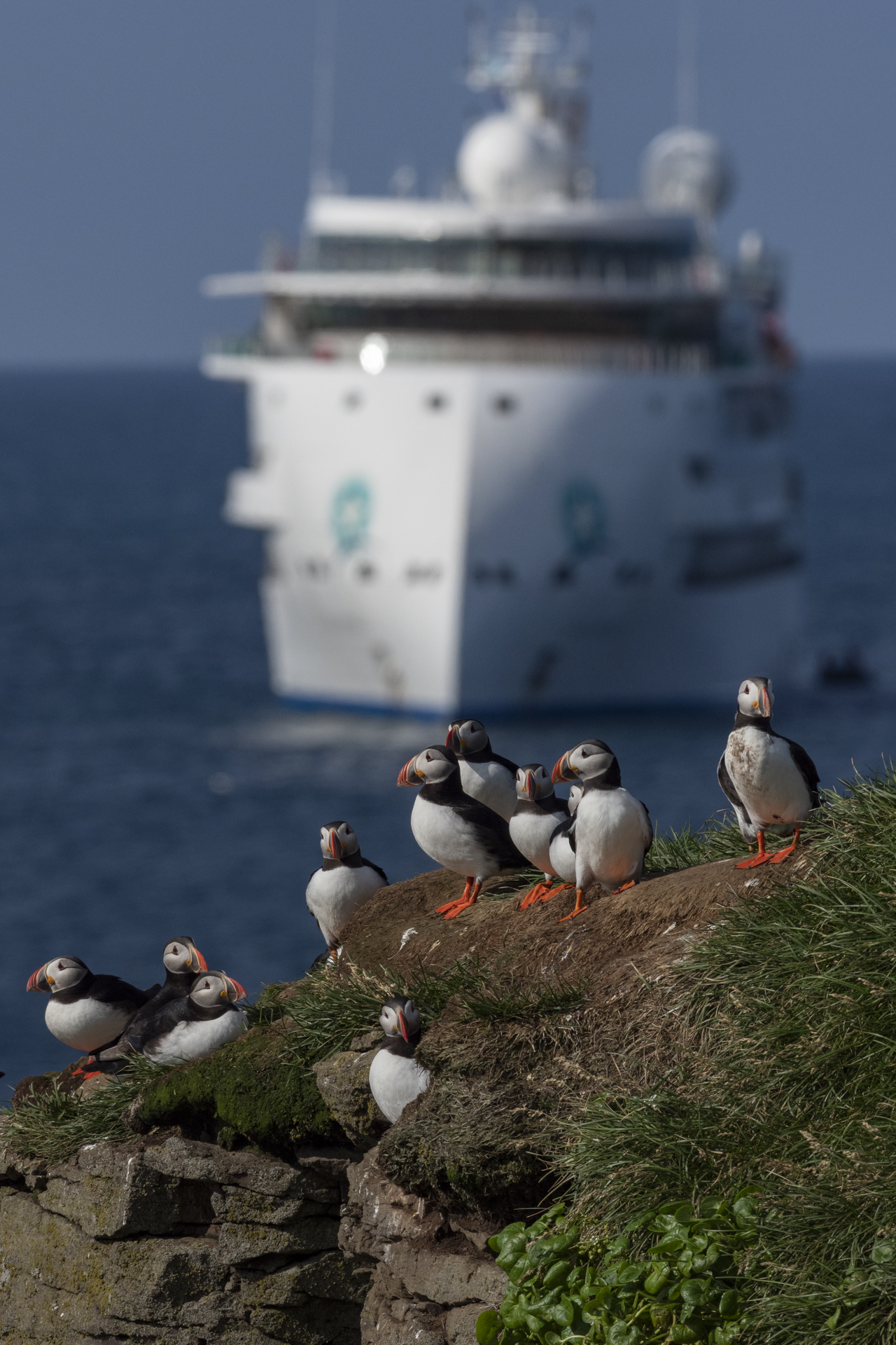 Iceland: Circumnavigating the Land of Fire & Ice