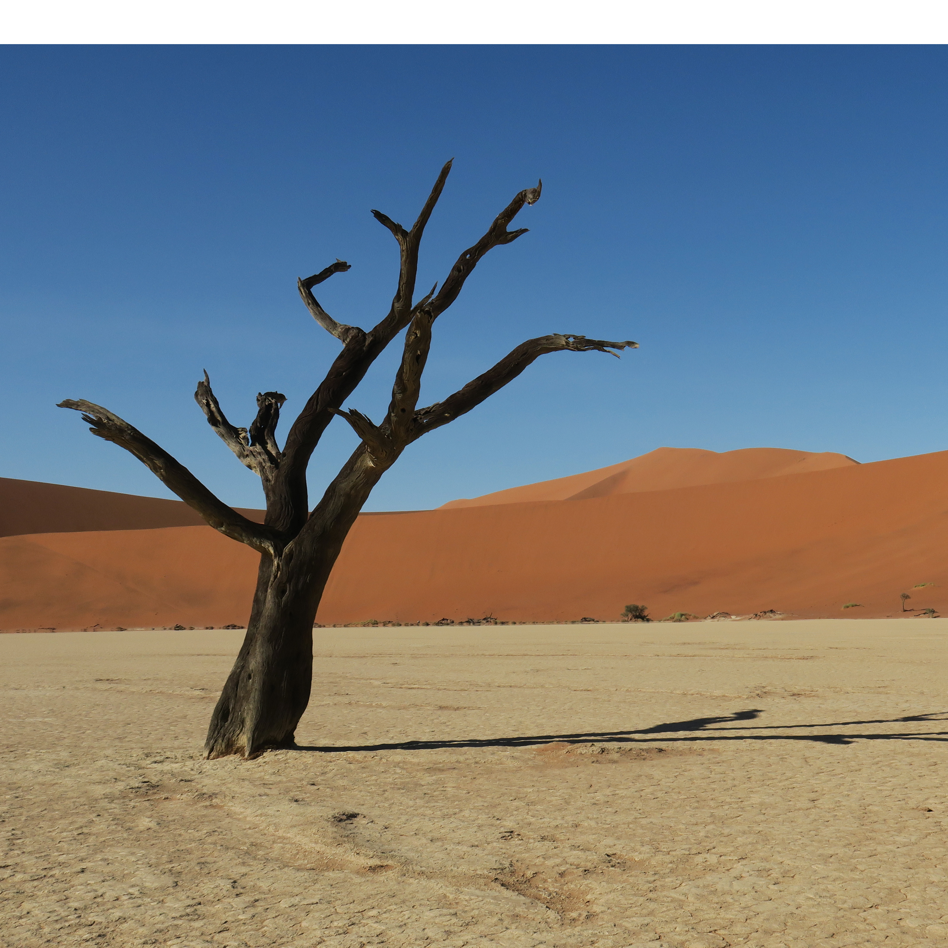 Namibia | Legends in the Sand
