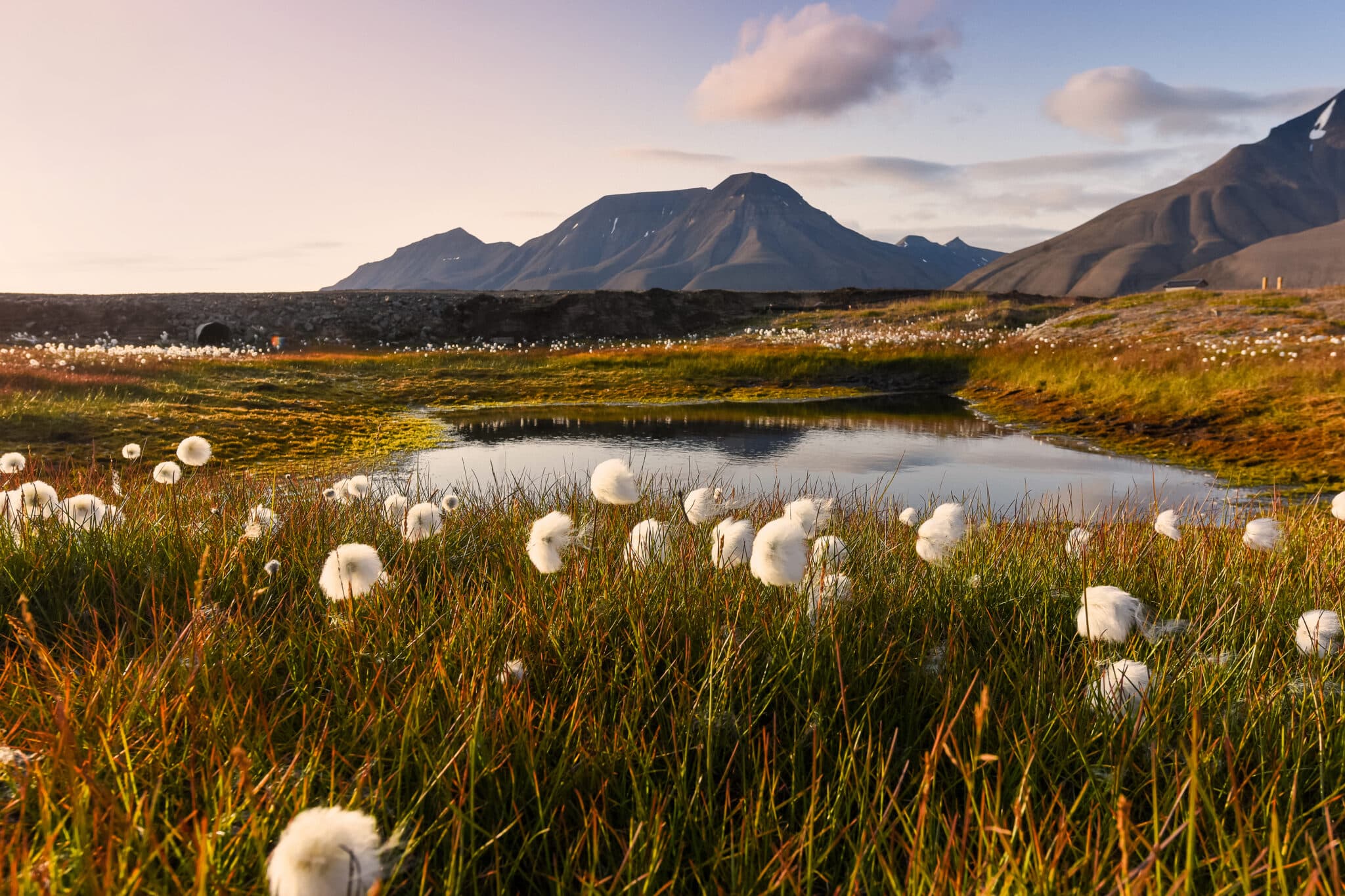 Arctic Golden Autumn & Northern Lights