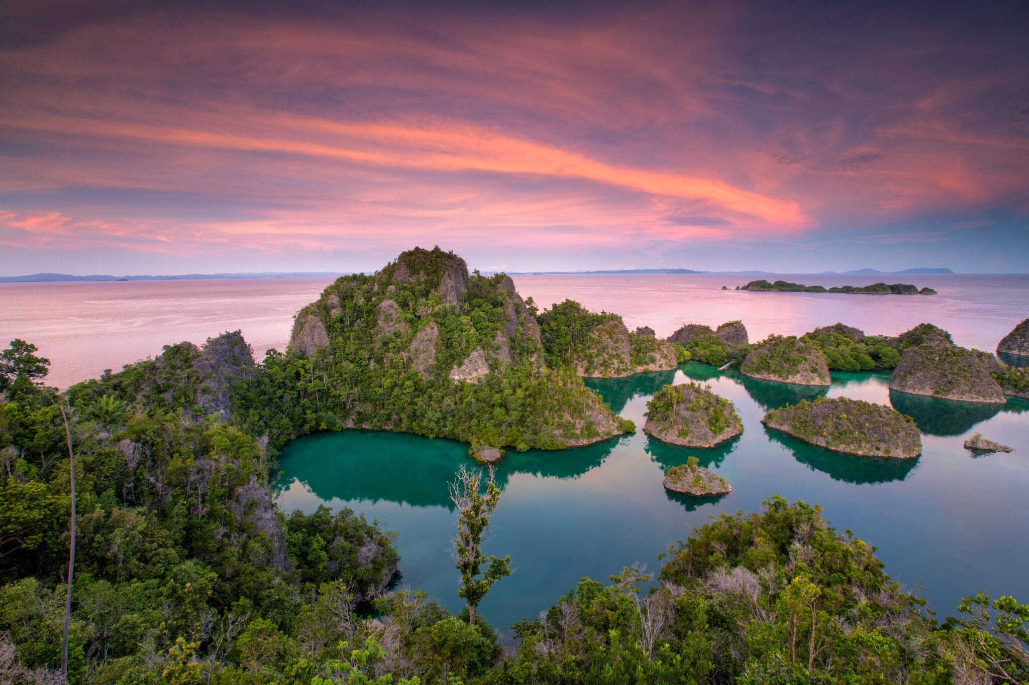 Living Treasures of Raja Ampat & the Spice Islands